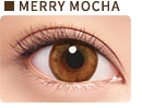 MERRY MOCHA