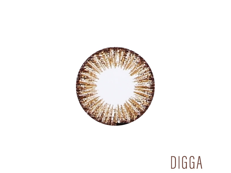 DIGGA